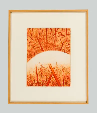 Relieve Pomodoro - Composizione