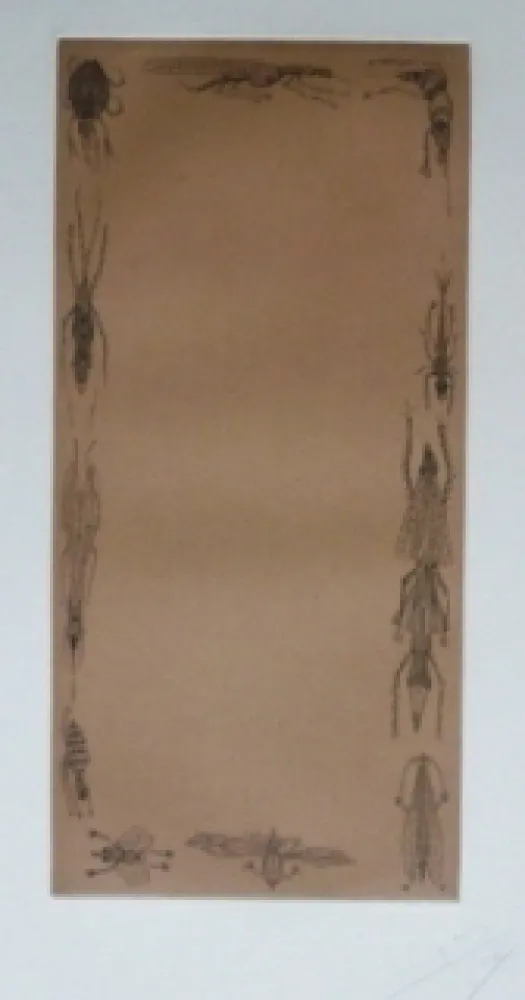 Aguafuerte Y Aguatinta Ponç - Kafka 10