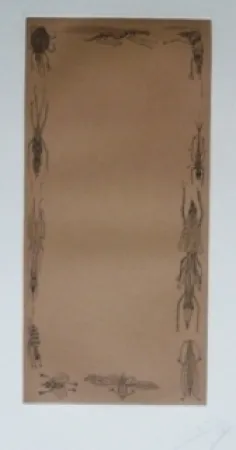 Aguafuerte Y Aguatinta Ponç - Kafka 10