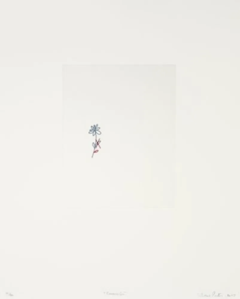 Grabado Porter - Corrección