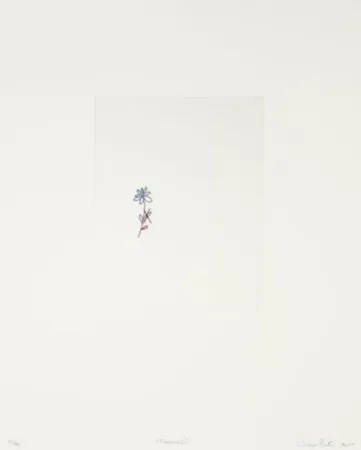 Grabado Porter - Corrección