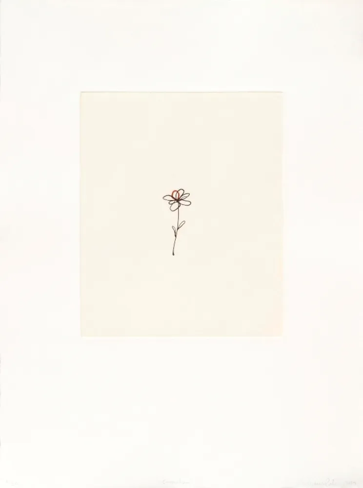 Grabado Porter - Mod. 5