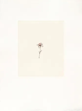 Grabado Porter - Mod. 5