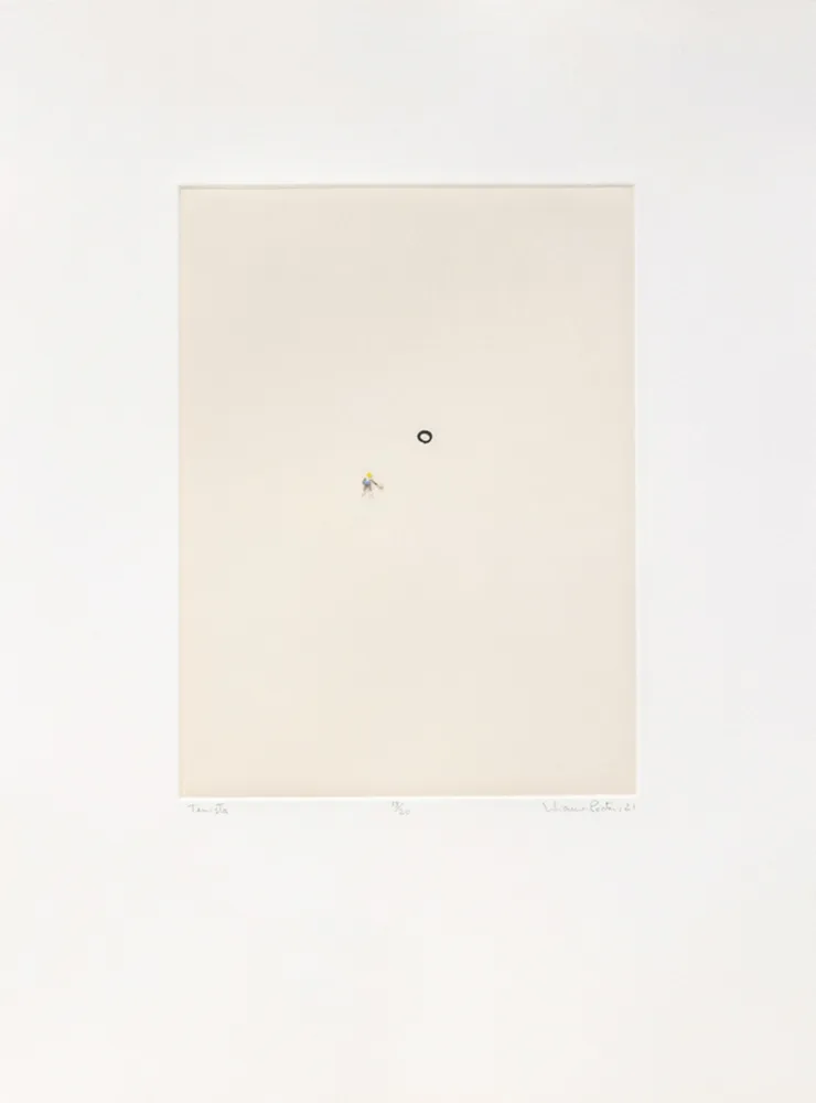 Múltiple Porter - Tenista