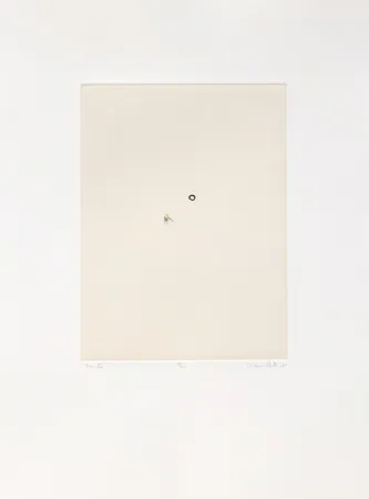 Múltiple Porter - Tenista