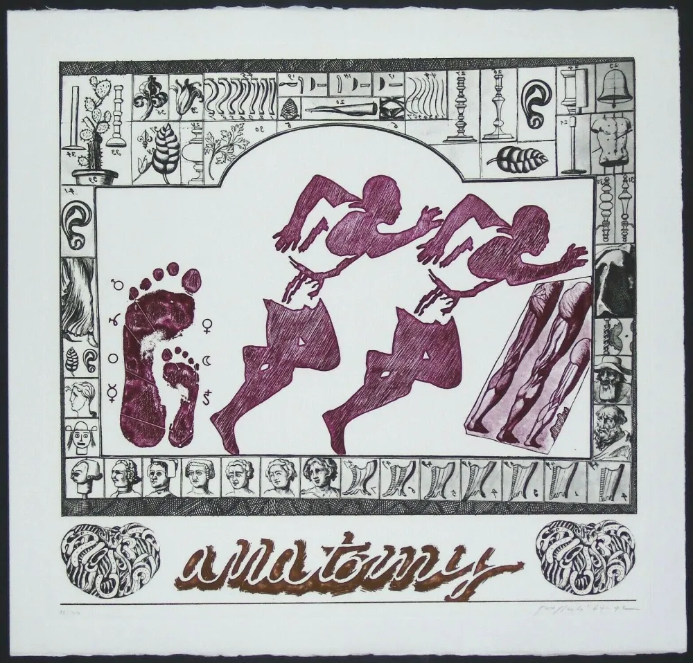 Grabado Pozzati - Anatomy