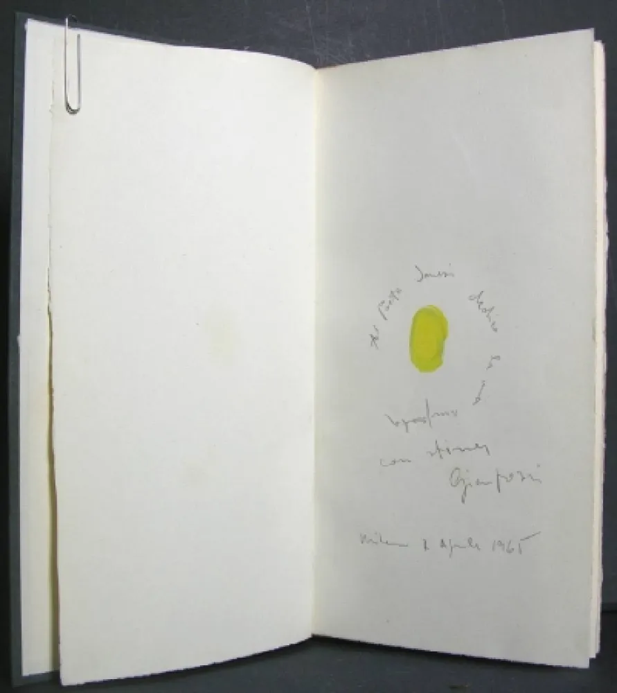 Libro Ilustrado Pozzi - La dignità delle pietre