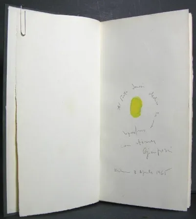 Libro Ilustrado Pozzi - La dignità delle pietre