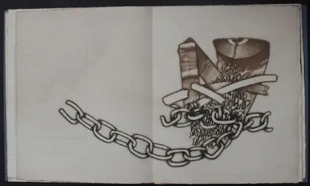 Libro Ilustrado Pozzi - La spiaggia dei gabbiani