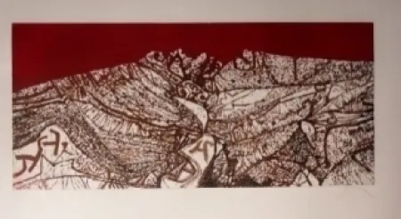 Aguafuerte Y Aguatinta Prassinos - Calan