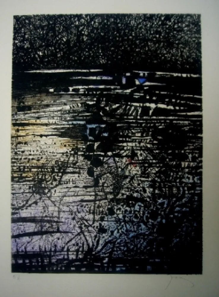 Aguafuerte Y Aguatinta Prassinos - L'étang