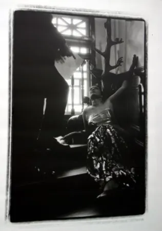 Múltiple Pushpamala - Phantom Lady #14