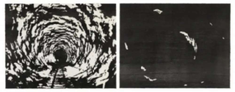 Grabado En Madera Putrih - Reprojection II  (IIa et IIb)