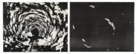 Grabado En Madera Putrih - Reprojection II  (IIa et IIb)