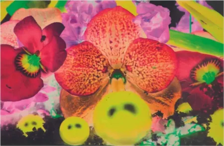 Múltiple Quinn - Sepas Mous