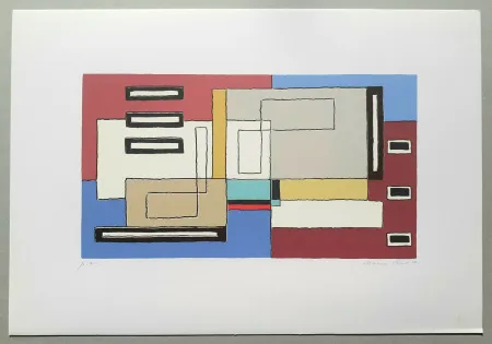 Serigrafía Radice - Composizione Tav. 10