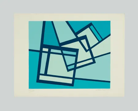 Serigrafía Radice - La distruzione