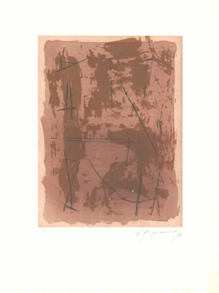 Aguafuerte Y Aguatinta Ràfols Casamada - Circ-1