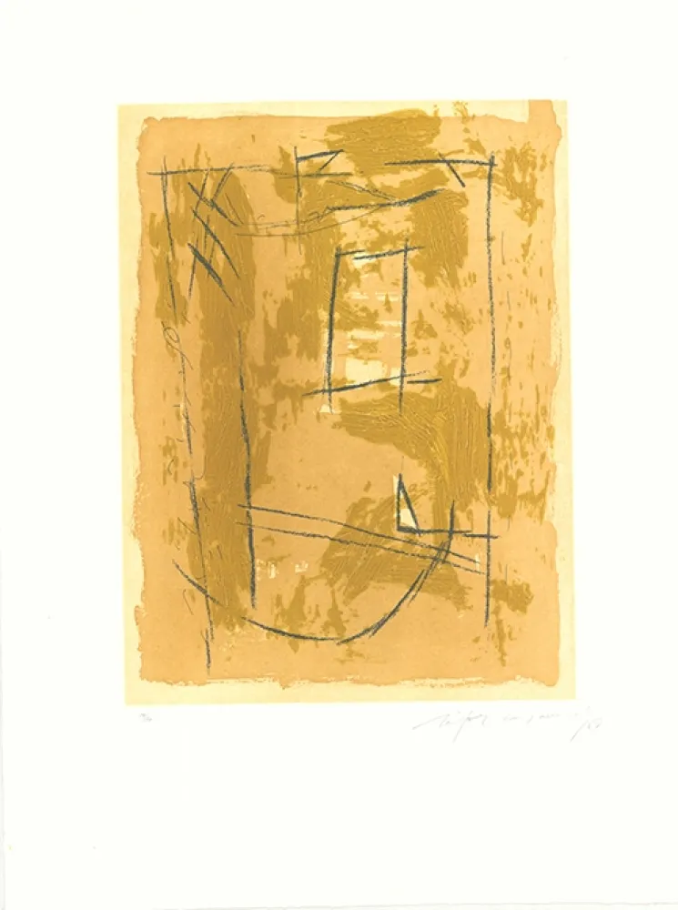 Aguafuerte Y Aguatinta Ràfols Casamada - Circ-4