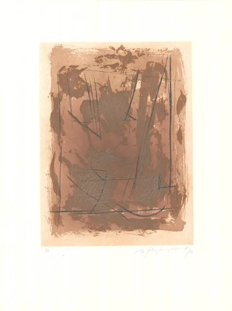 Aguafuerte Y Aguatinta Ràfols Casamada - Circ-6