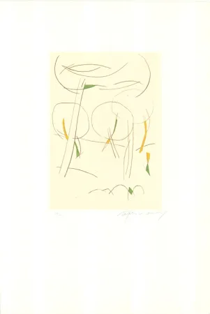 Aguafuerte Y Aguatinta Ràfols Casamada - El Bosc-5