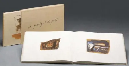 Libro Ilustrado Ràfols Casamada - EL PASSEIG DEL POETA