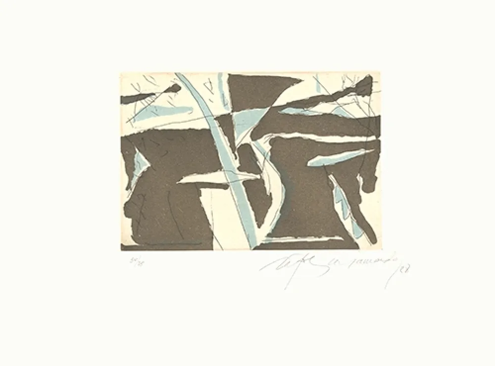 Aguafuerte Y Aguatinta Ràfols Casamada - Estiu-4