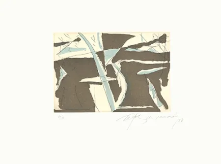 Aguafuerte Y Aguatinta Ràfols Casamada - Estiu-4