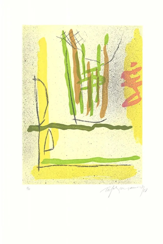 Aguafuerte Y Aguatinta Ràfols Casamada - Floral-1