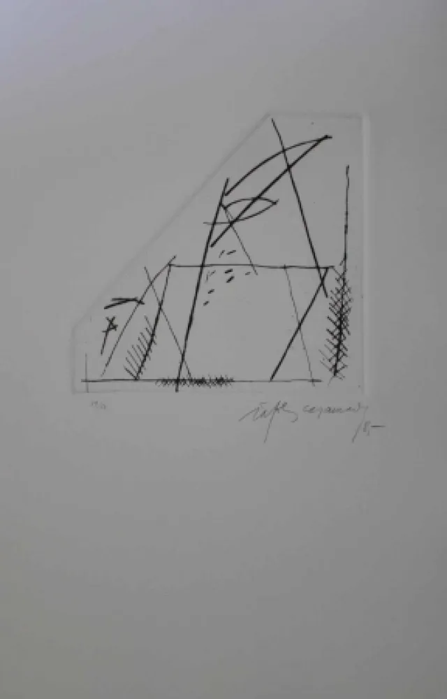 Grabado Ràfols Casamada - Jardí 4