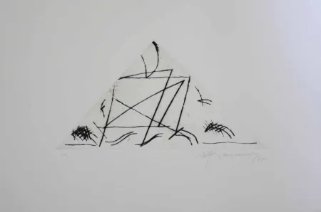 Grabado Ràfols Casamada - Jardí 5