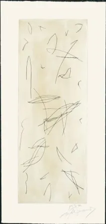 Grabado Ràfols Casamada - Ocells-1