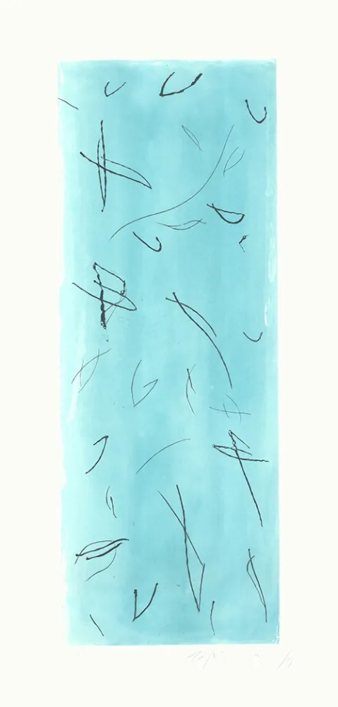 Grabado Ràfols Casamada - Ocells-2