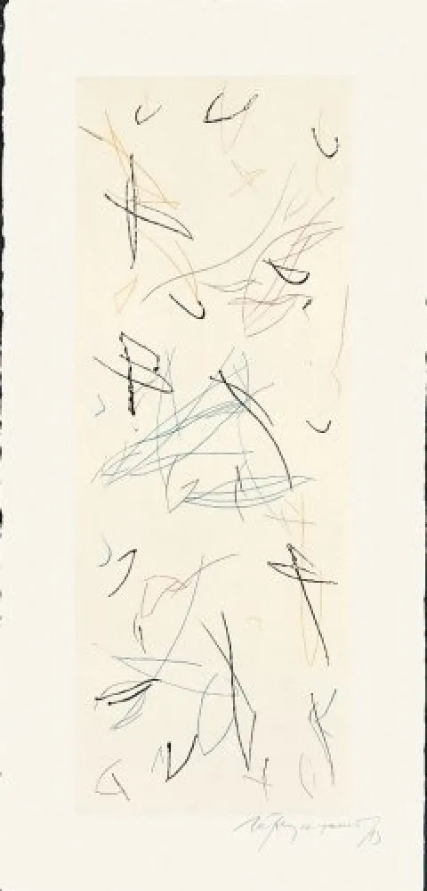 Grabado Ràfols Casamada - Ocells-Variant 1-2