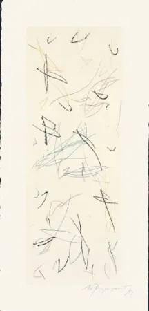 Grabado Ràfols Casamada - Ocells-Variant 1-2