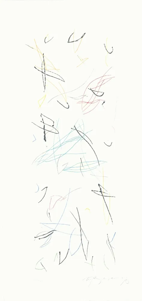 Grabado Ràfols Casamada - Ocells variant 1-2