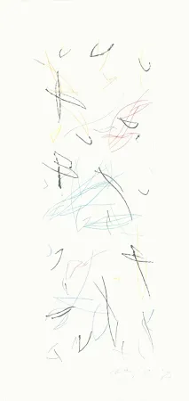 Grabado Ràfols Casamada - Ocells variant 1-2