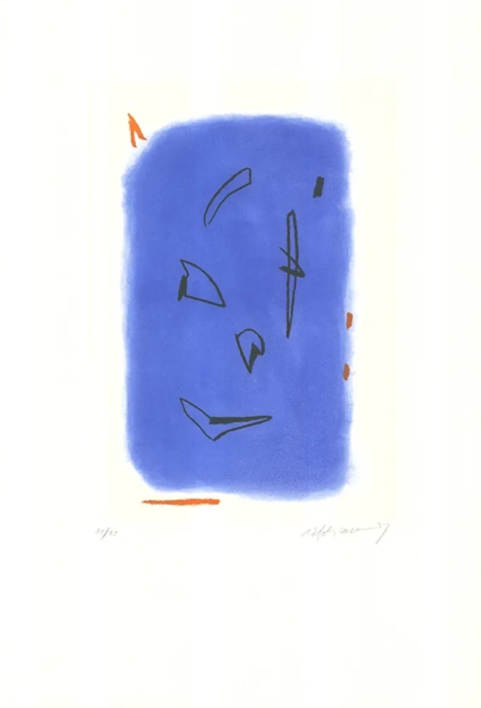 Aguafuerte Y Aguatinta Ràfols Casamada - Primavera-1