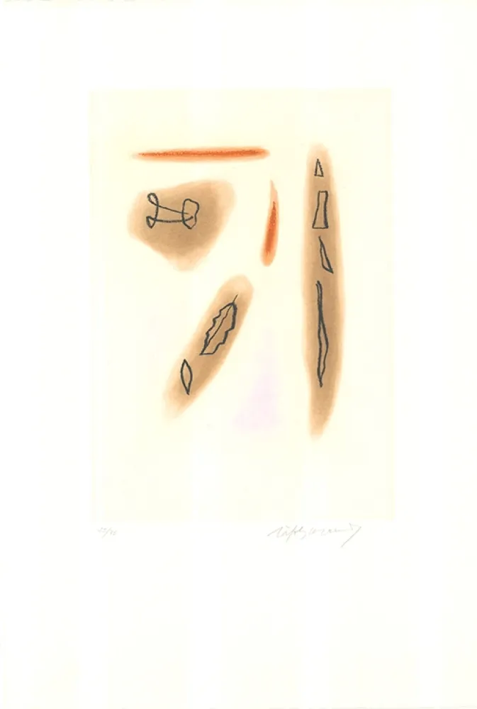 Aguafuerte Y Aguatinta Ràfols Casamada - Primavera-3