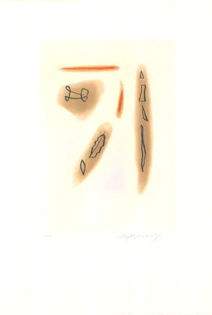 Aguafuerte Y Aguatinta Ràfols Casamada - Primavera-3