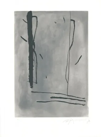 Aguafuerte Y Aguatinta Ràfols Casamada - Signe i Color-1