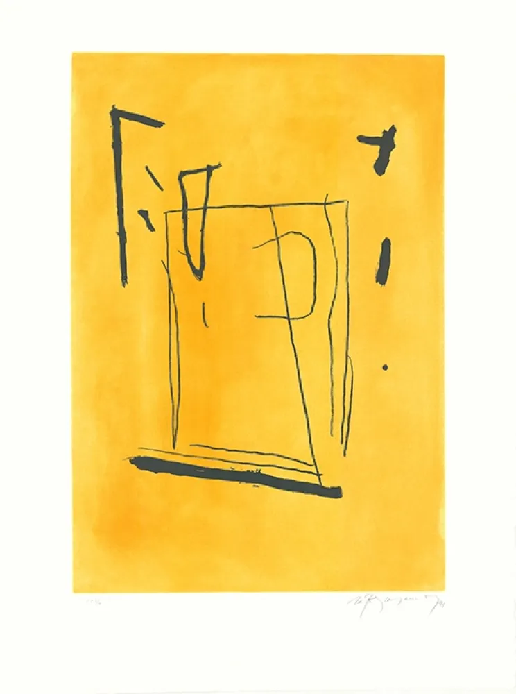 Aguafuerte Y Aguatinta Ràfols Casamada - Signe i color 3