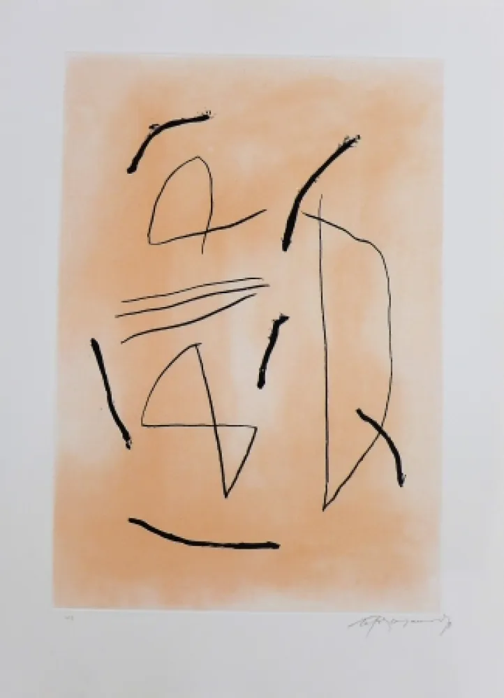 Grabado Ràfols Casamada - Signe i color-4 