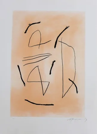 Grabado Ràfols Casamada - Signe i color-4 