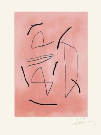 Grabado Ràfols Casamada - Signe i color-4