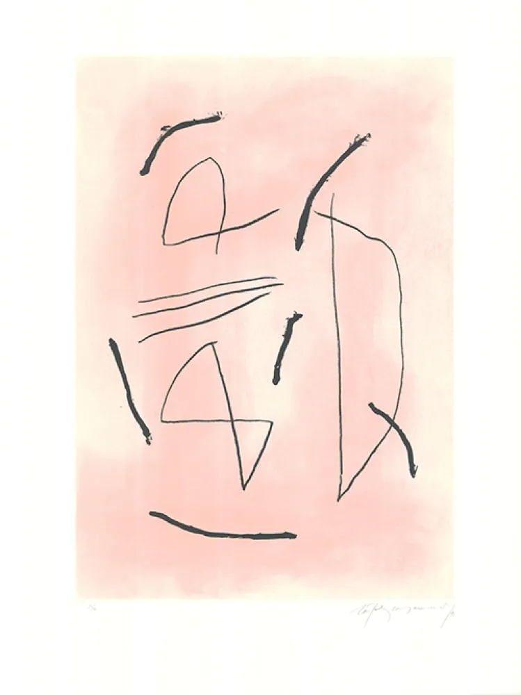 Aguafuerte Y Aguatinta Ràfols Casamada - Signe i color 4