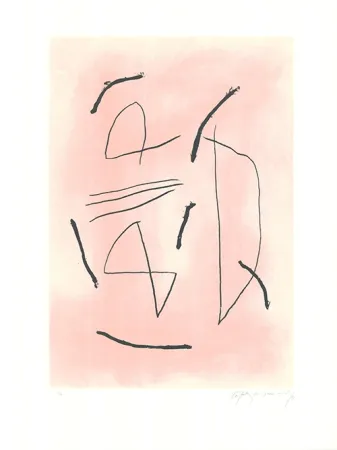 Aguafuerte Y Aguatinta Ràfols Casamada - Signe i color 4