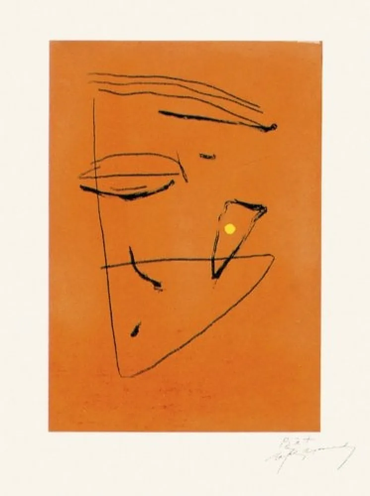 Grabado Ràfols Casamada - Signe i color - 5