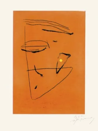 Grabado Ràfols Casamada - Signe i color - 5