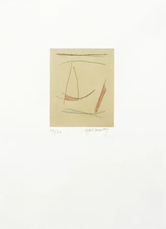 Grabado Ràfols Casamada - Signe i colors